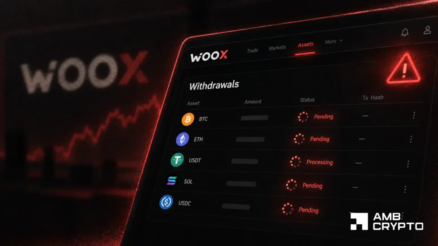 WOO X under scrutiny after 3-day withdrawal crisis: 'Are we getting rug?'